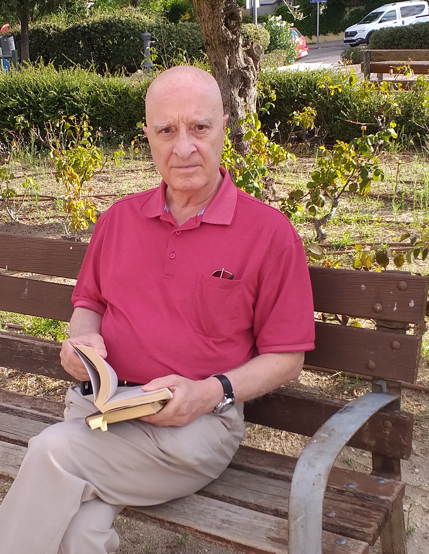 Martín Crespo, Vicente