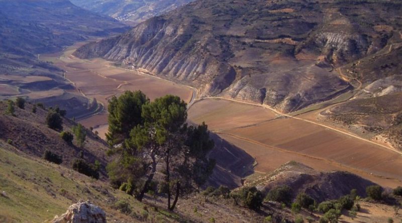 LA ALCARRIA DEL VIAJE AL QUE CAMILO JOSÉ CELA PUSO SUS BOTAS DE SIETE LEGUAS, por Antonio Herrera Casado