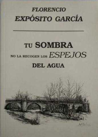 Tu sombra no la recogen los espejos del agua