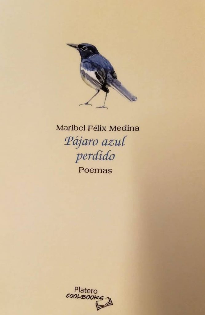 PÁJARO AZUL PERDIDO (Edit. Platero Cool Books-2025)